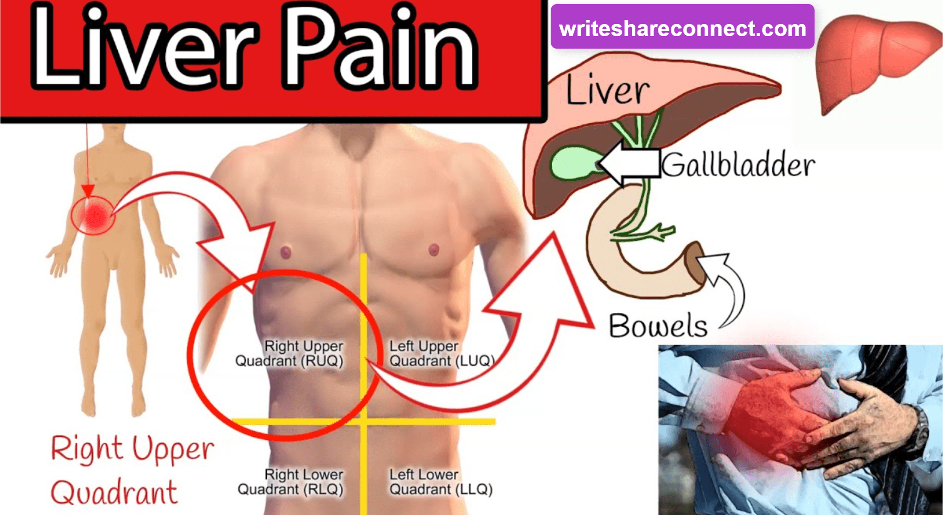 What Causes Liver Pain? An Overview of Symptoms and Treatments